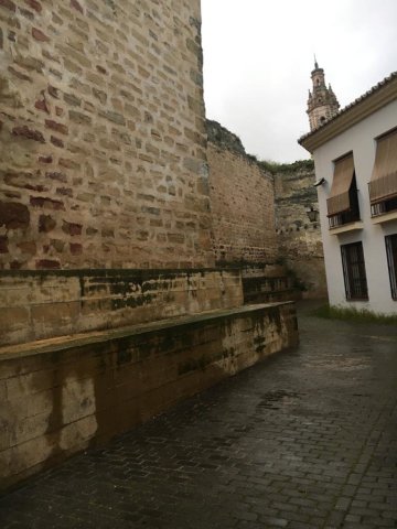 Calle la Pajarona BUJALANCE